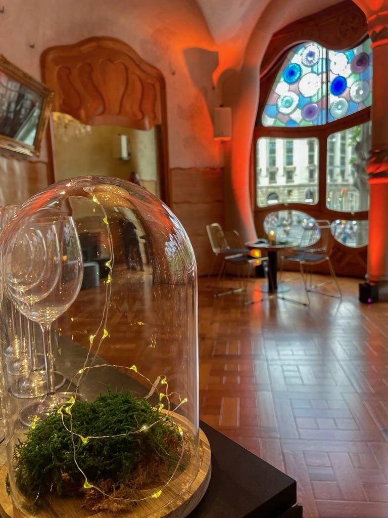 CASA BATLLÓ BARCELONA (33)