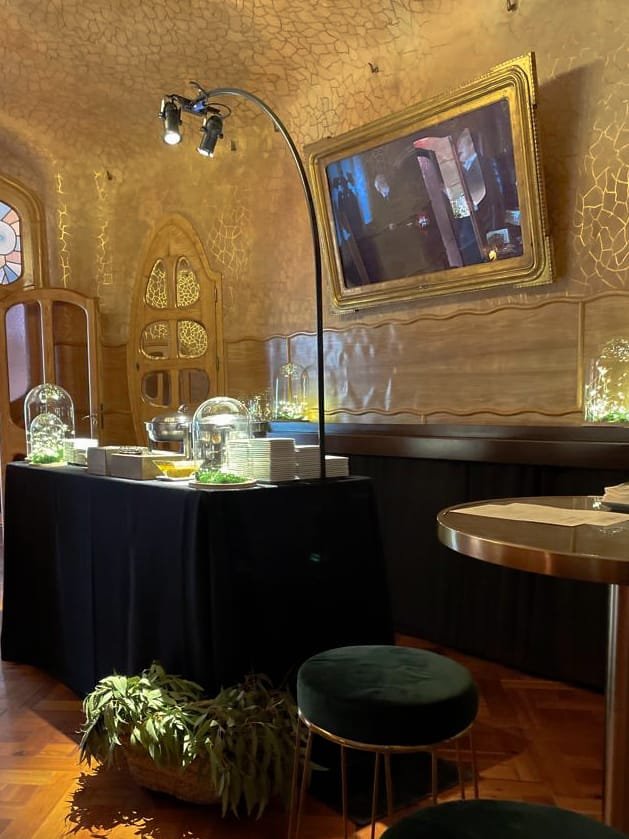 CASA BATLLÓ BARCELONA (47)