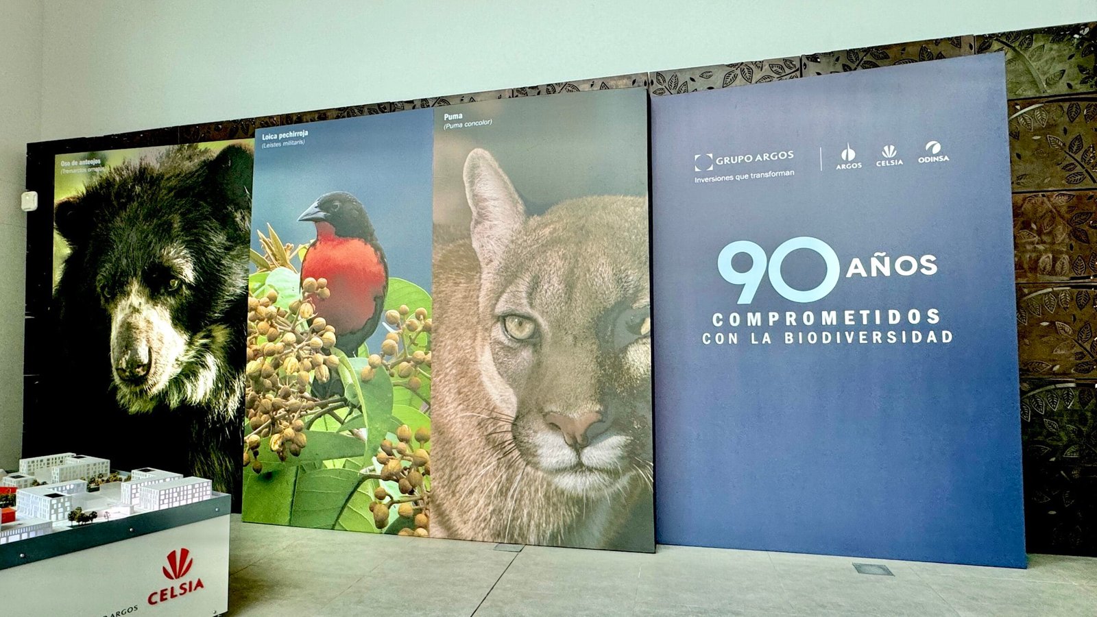 COP 16 GRUPO ARGOS (11)