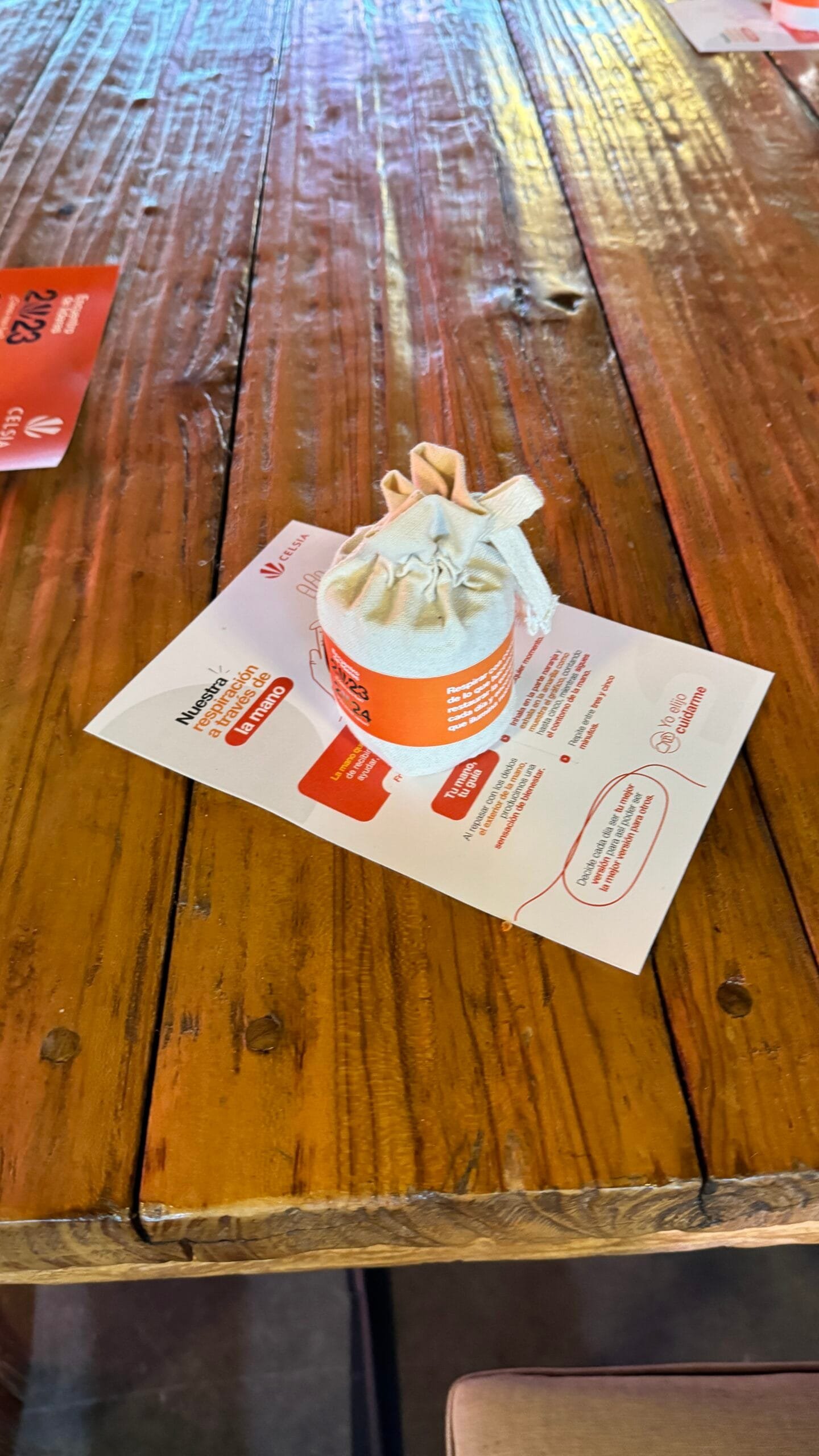 ENCUENTRO DE LÍDERES CELSIA 2023 (4)